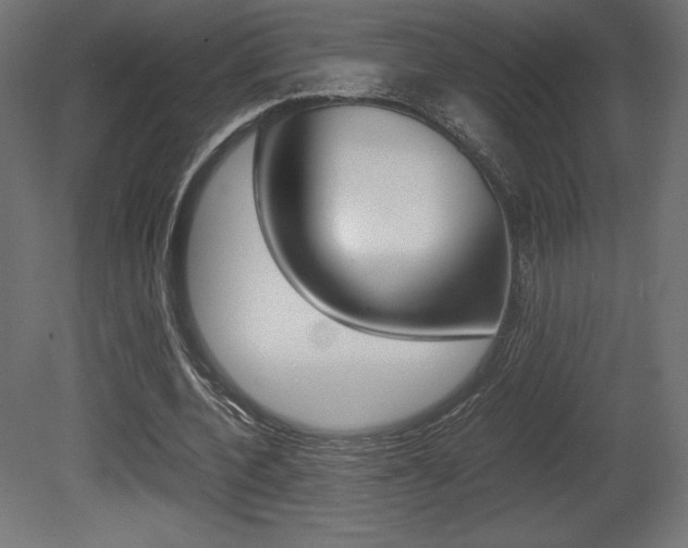 X0000081450532200701121017