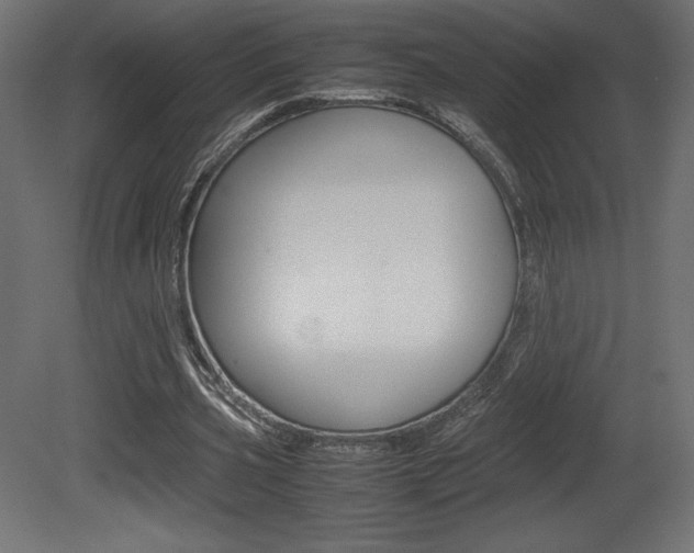 X0000081450533200701121017