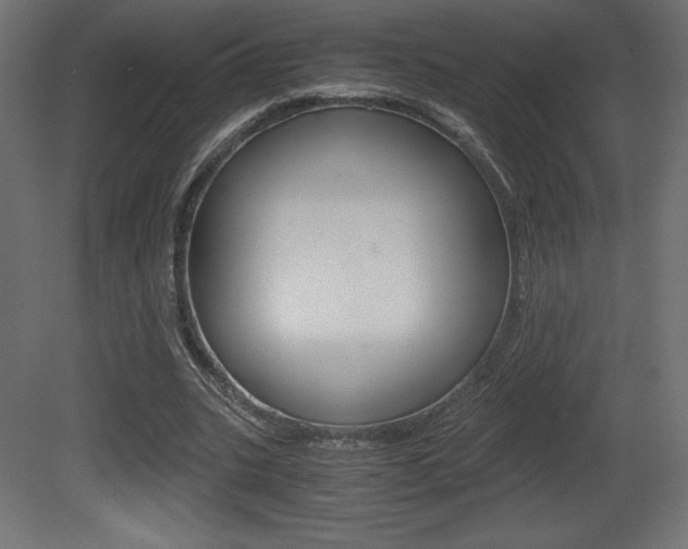 X0000081450535200701121017