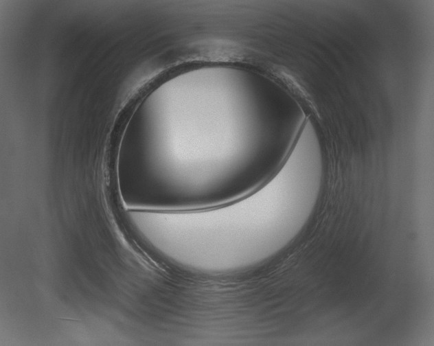 X0000081450536200701121017