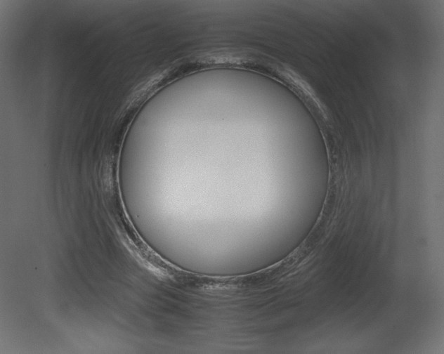 X0000081450537200701121017