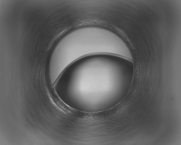 X0000081450538200701121017