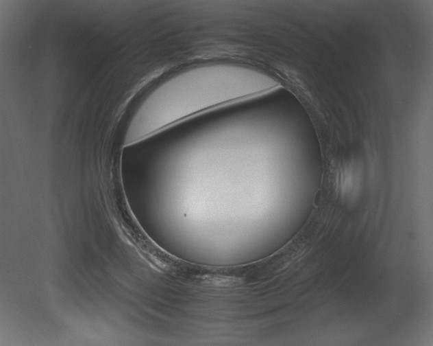 X0000081450539200701121017