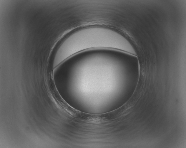 X0000081450540200701121017