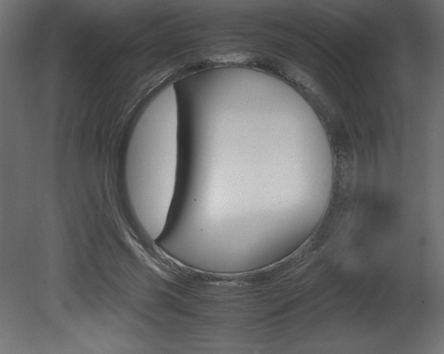 X0000081450541200701121017