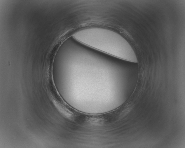 X0000081450542200701121017
