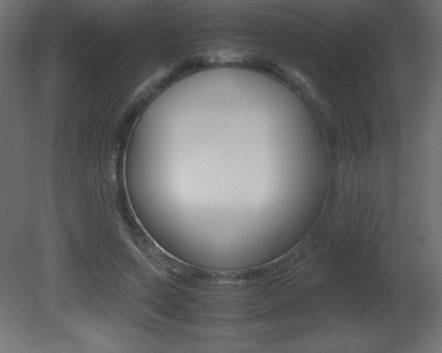 X0000081450543200701121017