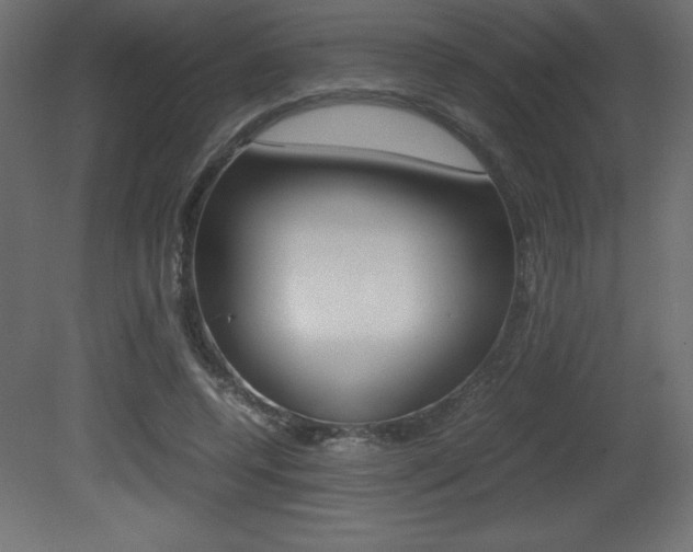 X0000081450544200701121017