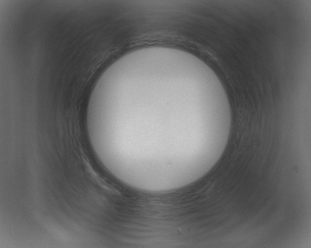 X0000081450546200701121017