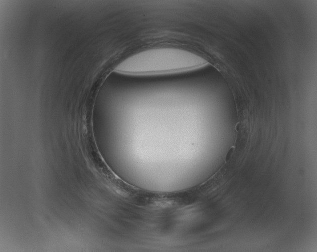 X0000081450547200701121017