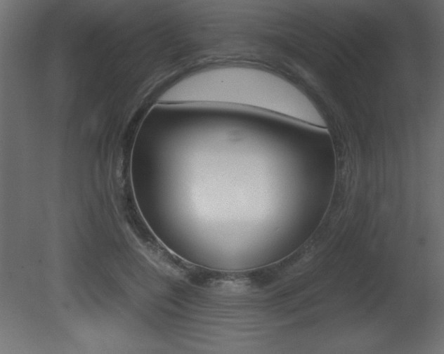 X0000081450548200701121017