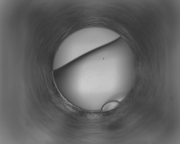 X0000081450549200701121017