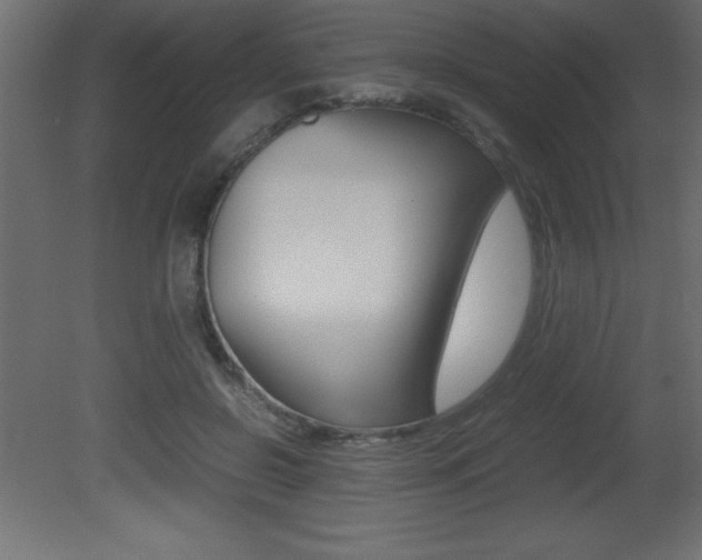 X0000081450550200701121017