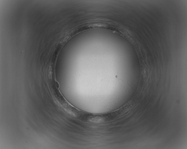 X0000081450551200701121017