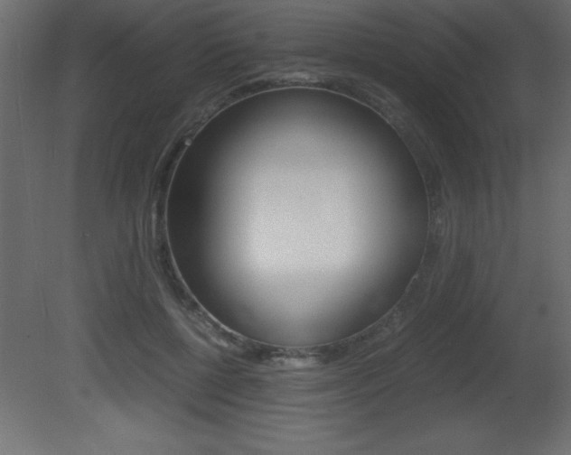 X0000081450552200701121018