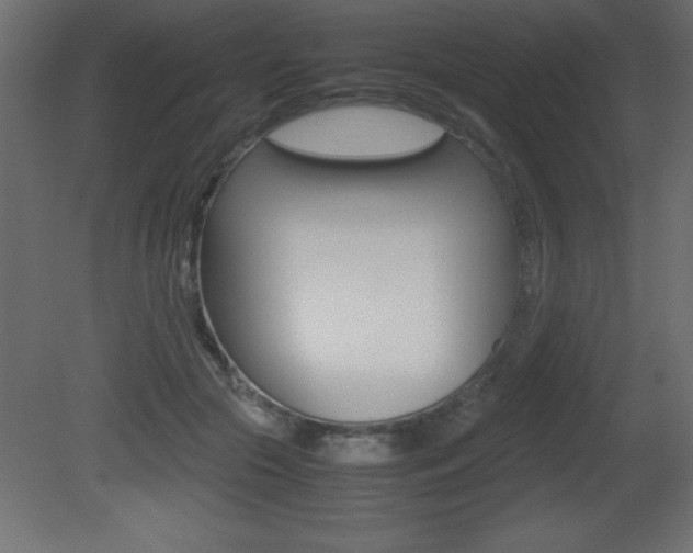 X0000081450553200701121018
