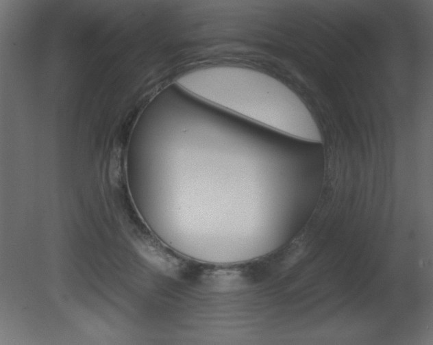 X0000081450554200701121018