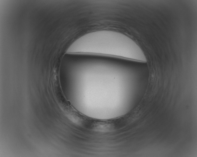 X0000081450555200701121018