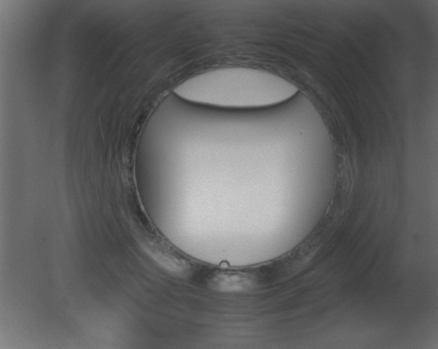 X0000081450557200701121018