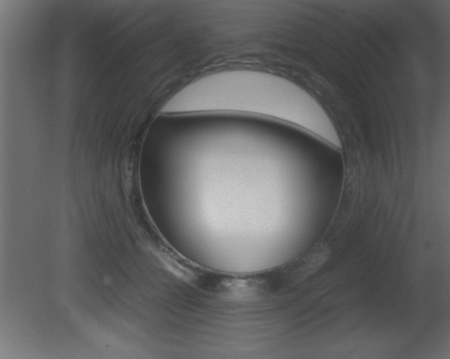 X0000081450558200701121018