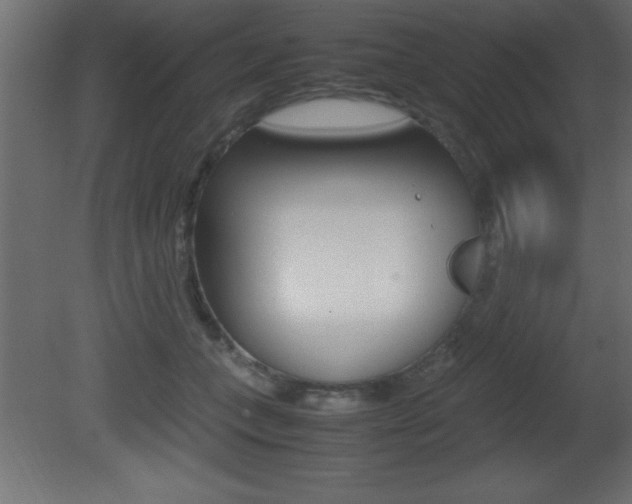 X0000081450559200701121018