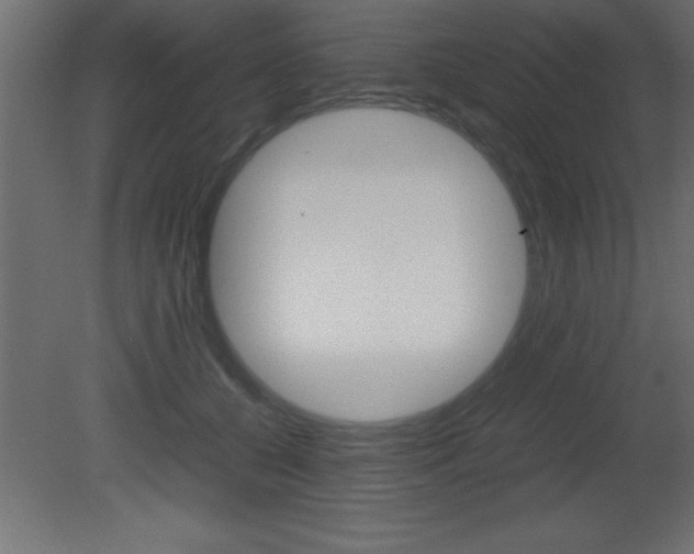 X0000081450560200701121018