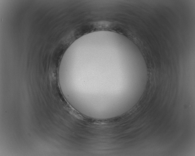 X0000081450561200701121018