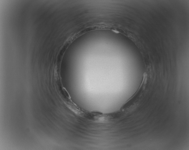 X0000081450564200701121018