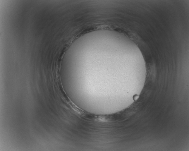 X0000081450565200701121018