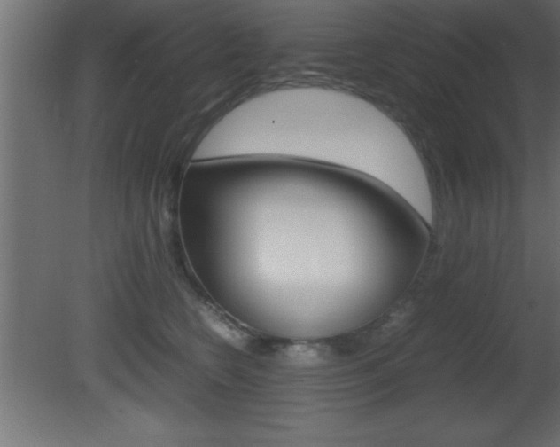 X0000081450566200701121018