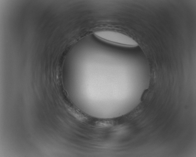 X0000081450567200701121018