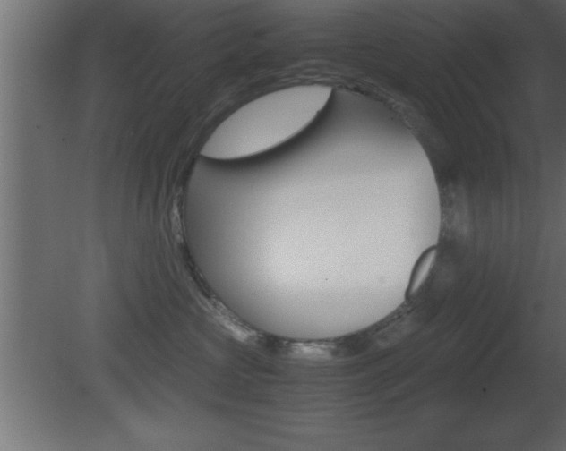 X0000081450573200701121018