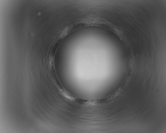 X0000081450574200701121018