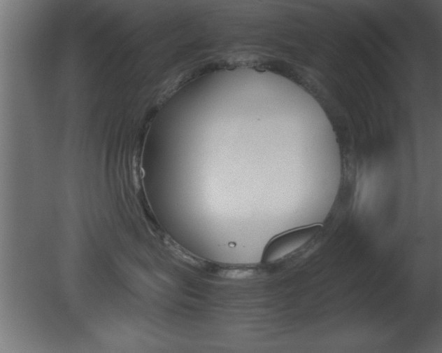 X0000081450575200701121018