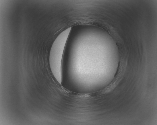 X0000081450576200701121018
