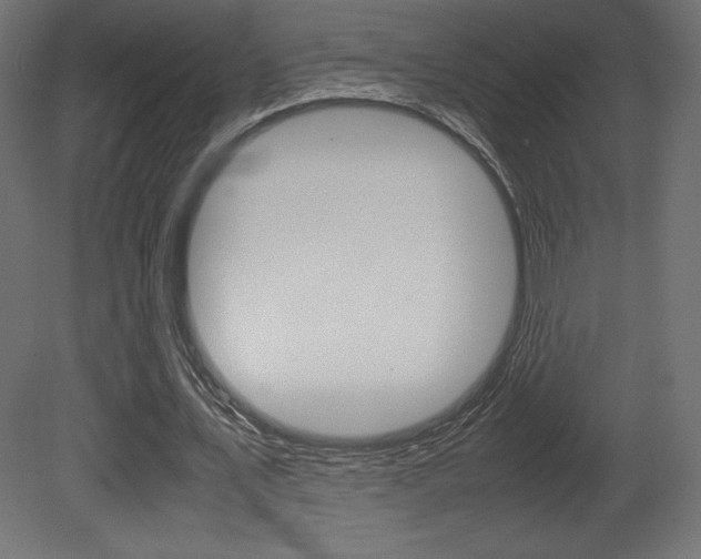 X0000081450579200701121017