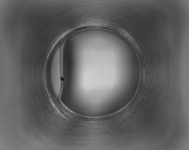 X0000081450580200701121017