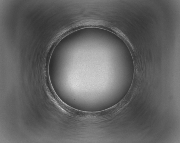 X0000081450581200701121017
