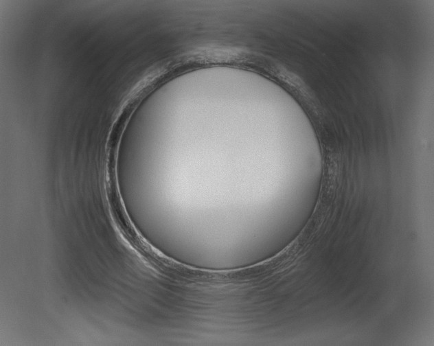 X0000081450582200701121017