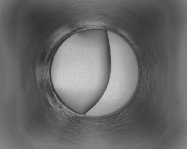 X0000081450583200701121017