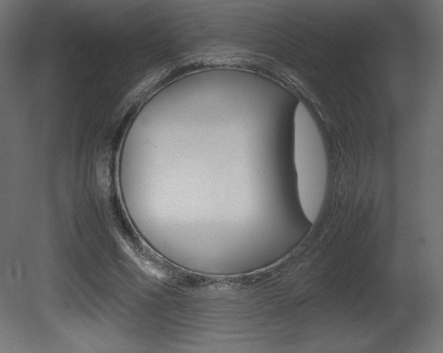 X0000081450586200701121017