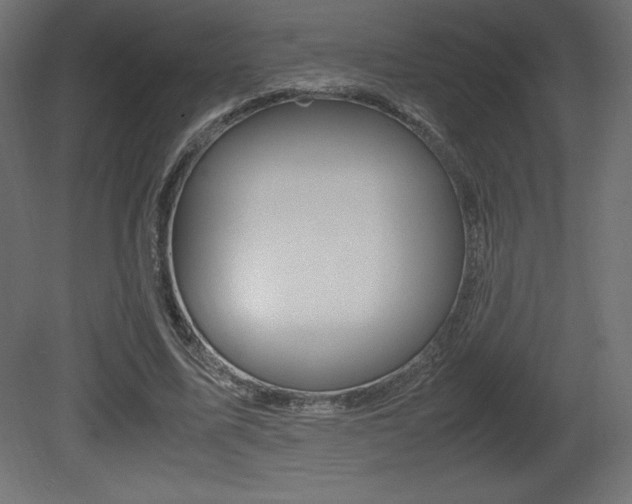 X0000081450587200701121017
