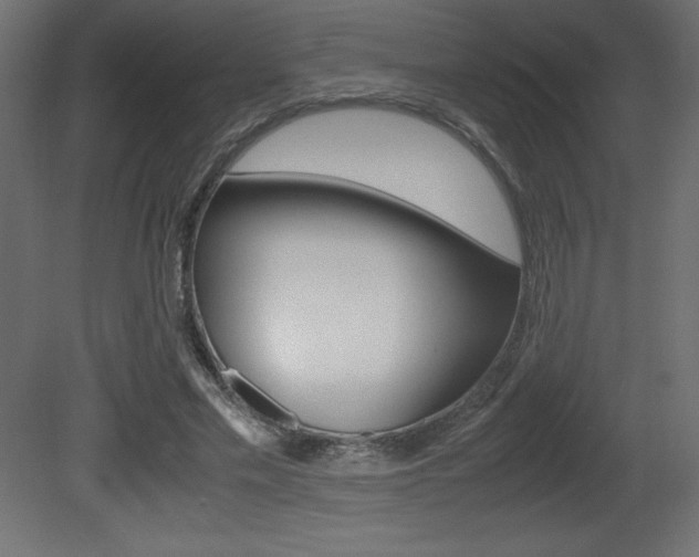 X0000081450589200701121017