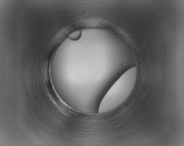 X0000081450590200701121017