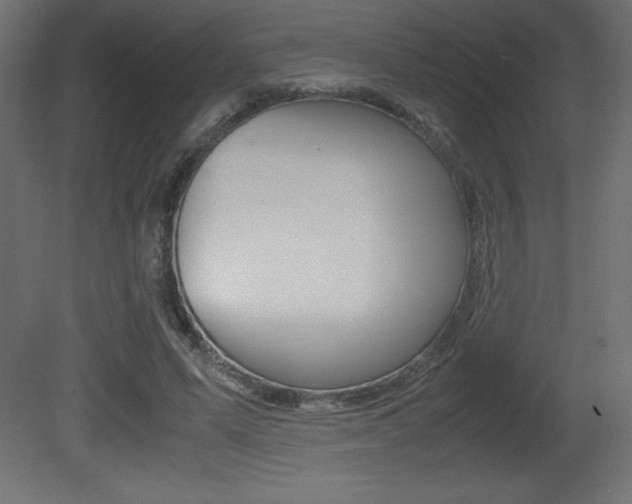 X0000081450591200701121017