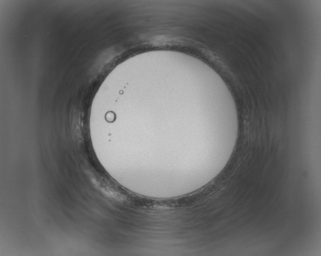 X0000081450592200701121017