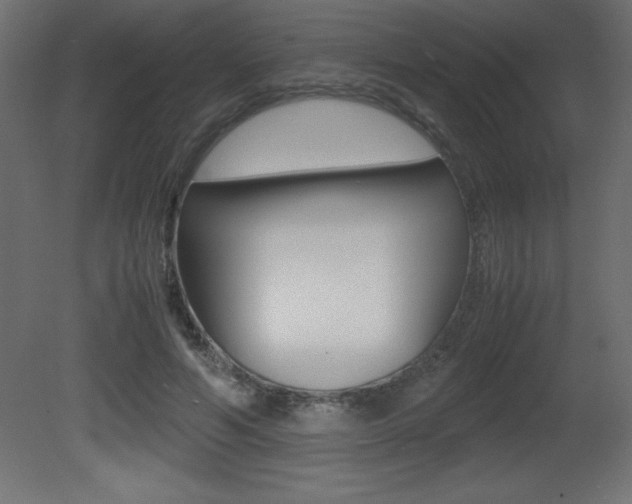 X0000081450594200701121017