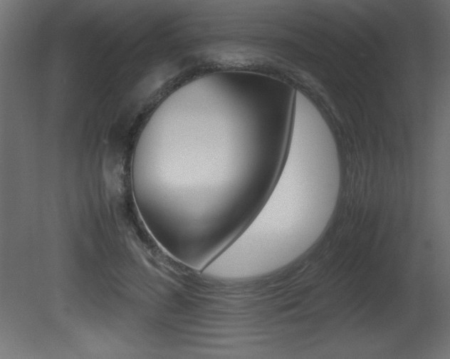 X0000081450596200701121017