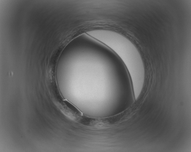 X0000081450597200701121017