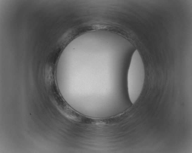 X0000081450598200701121017